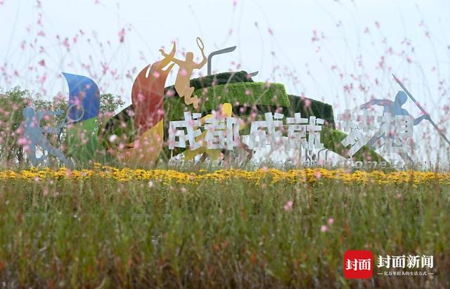 成都蜀都大道东新建一批大运会绿雕景观｜图集
