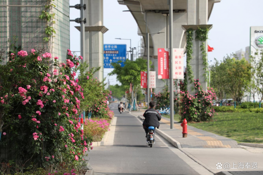 立体绿化为建筑披绿衣，让森林城市更低碳