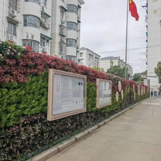 展现历史文化底蕴：走进彭浦新村街道立体绿化