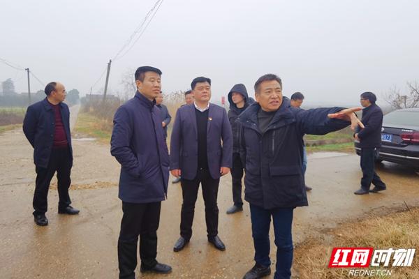 屈原管理区：绿化美化三年行动 彩绘画里美丽乡村