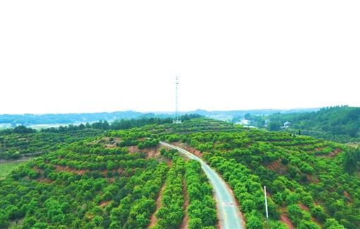 厚植美丽家园生态底色——长沙市实施国土绿化试点示范项目综述