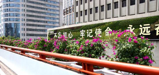 上海公园城市建设中的立体绿化，你知道哪些？