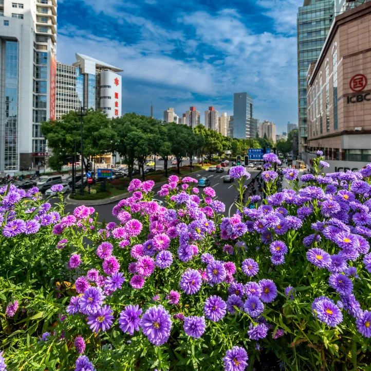 新增超25000m²！秀出绿化的立体美（附美图）