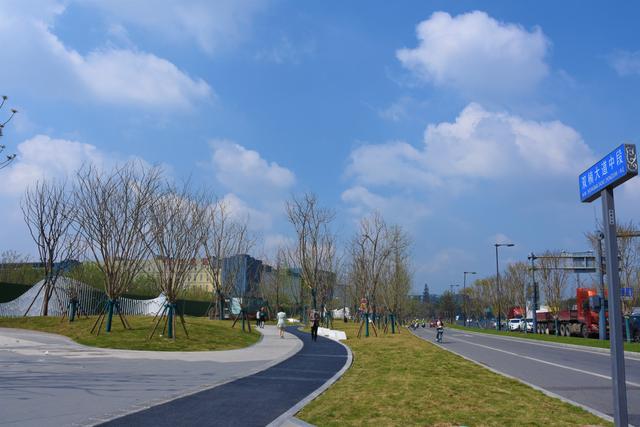 一条路一道景！双楠大道上的变化你感受到了吗？