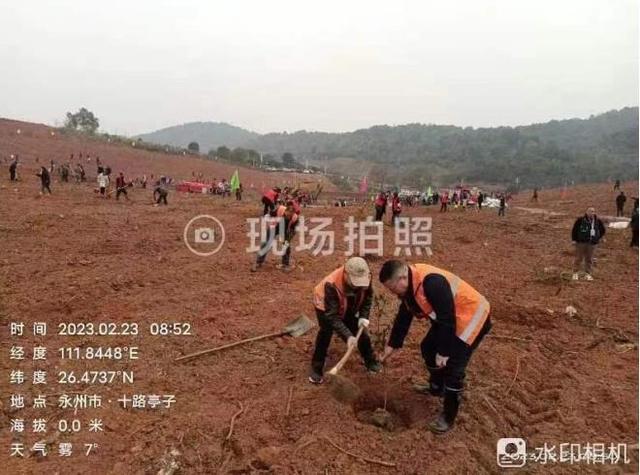 祁阳市公路建设养护中心 积极开展义务植树绿化活动