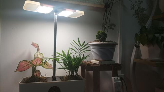 怎样设计阳台景观花园，自己动手这样做，让你家阳台变得更美