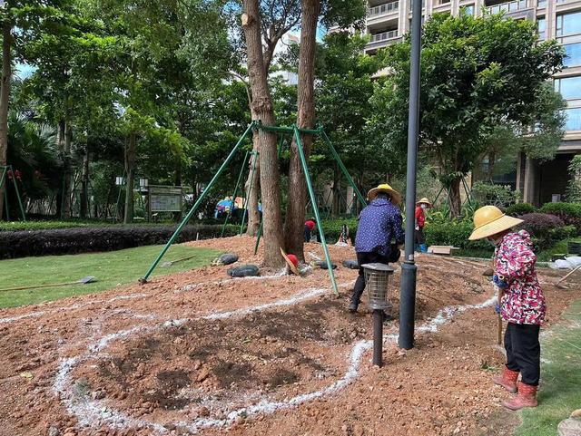 珠海万科“绿茵行动”提升业主幸福指数