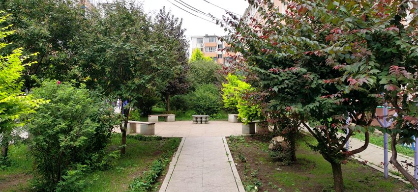 长春市“还绿行动”打造幸福美好家园