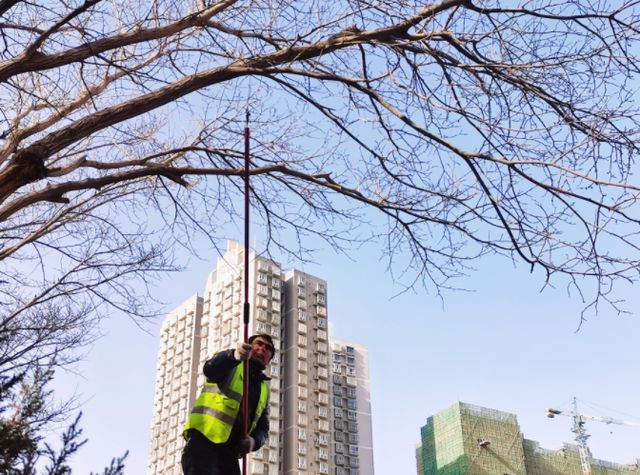 库尔勒：春季扮靓好时节 园林绿化修剪忙