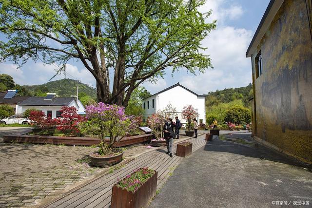 乡村振兴——美丽乡村景观设计的内容和要点