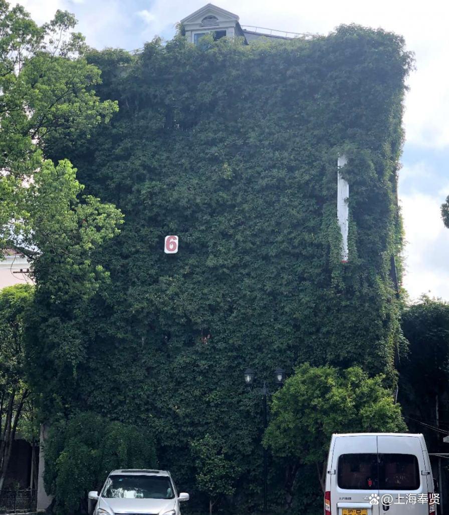 立体绿化为建筑披绿衣，让森林城市更低碳