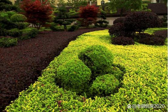 在园林景观绿化种植施工技术怎么提高景观效果？