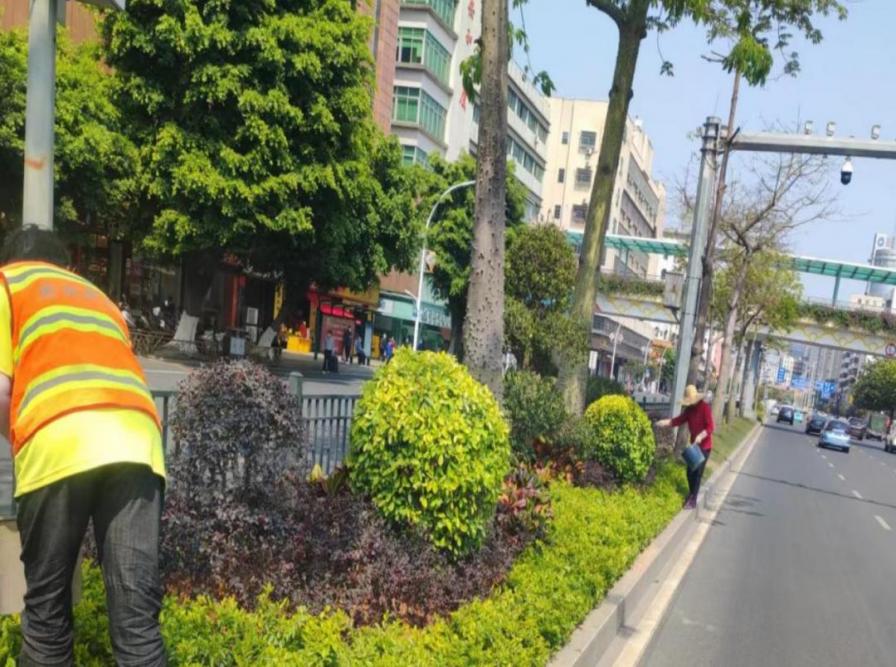 奏响绿化养护“春之声”，擦亮文明城市幸福底色