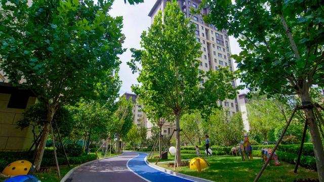 植出一片绿 扮靓一座城——衡水市城市园林绿化工作综述