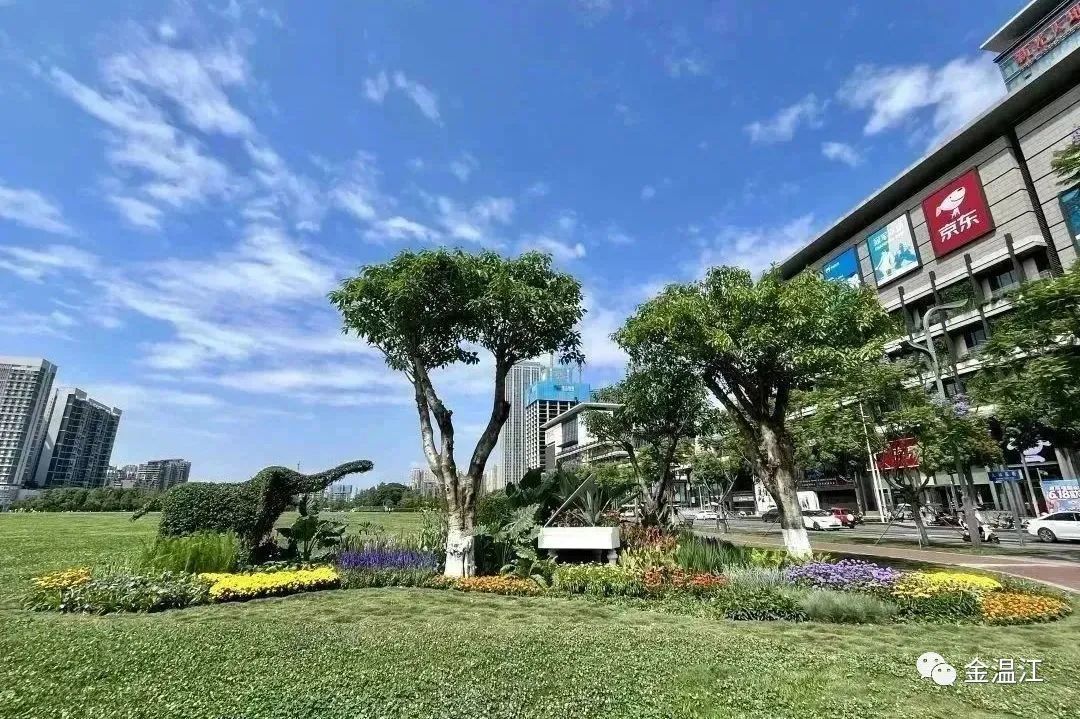 美！温江这个街区绿化升级大变样～