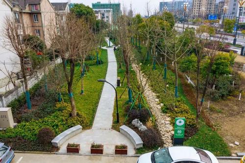 平湖市街头多处绿化容貌升级