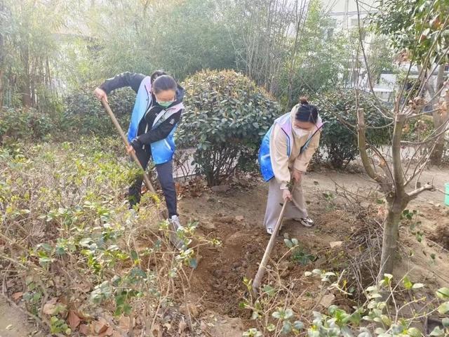 任城：美化绿化“微”改造 提升群众“微幸福”