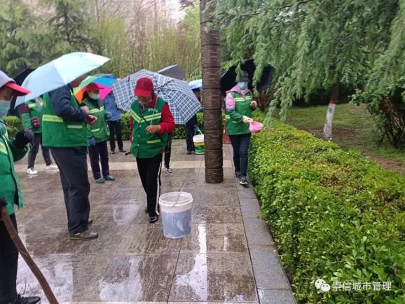 园林绿化整治不停步 城市景观形象再提升