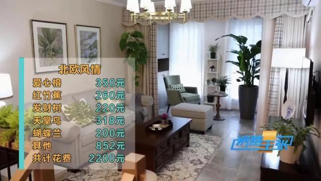 家里养花有啥讲究？这几点要注意