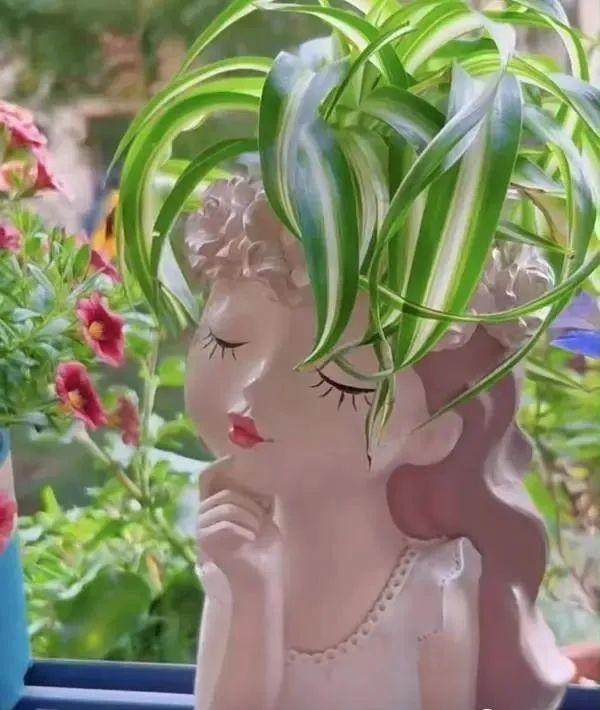 上海小姐姐用“娃娃花盆”养花，走红网络，网友：有趣又优雅