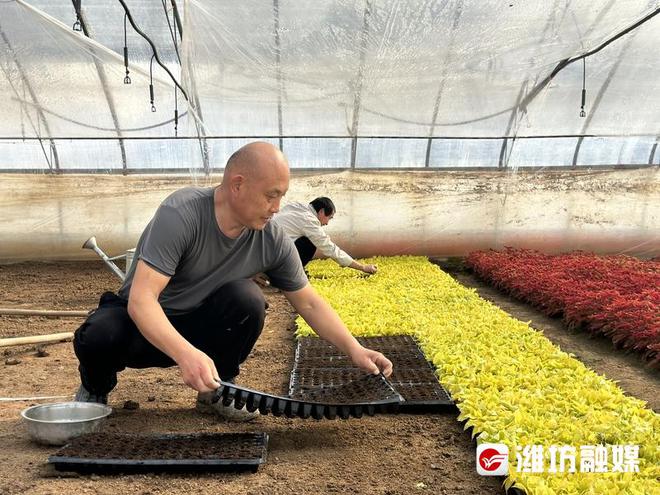 潍坊：绿化好时节，忙出好“钱”景