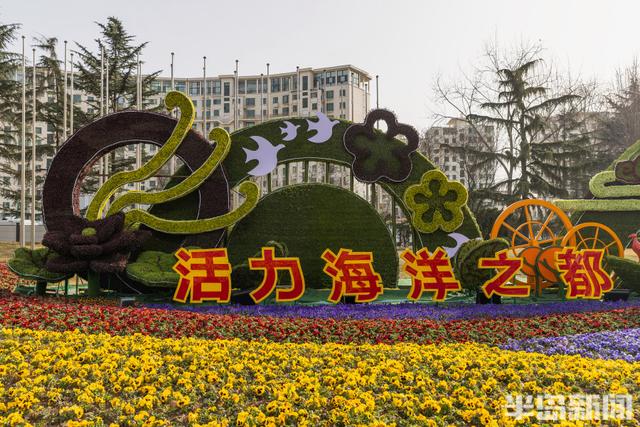花卉景观扮靓街头