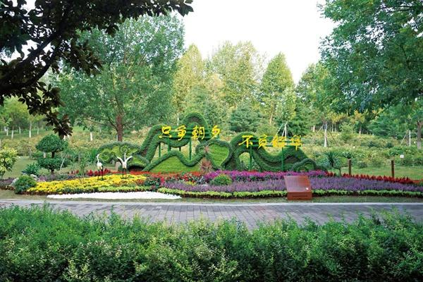 区园林绿化局举办花园造园大赛