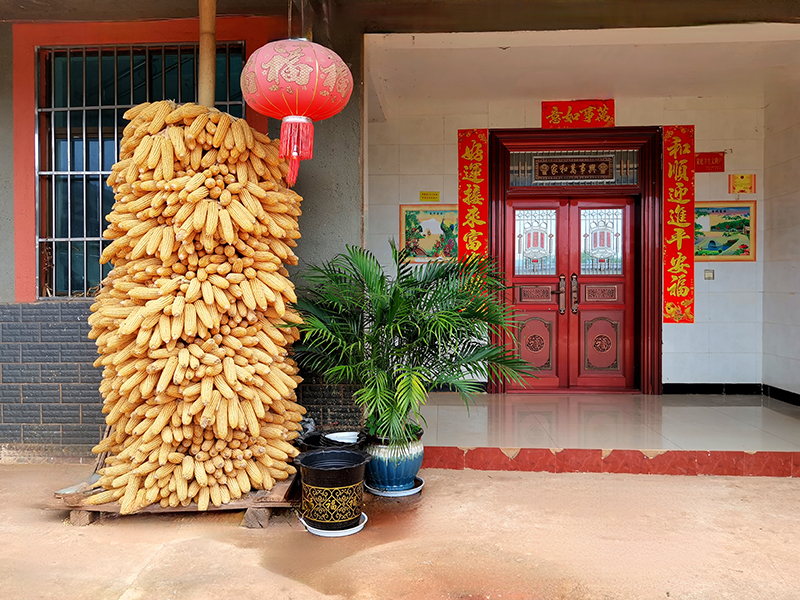 云南景谷：推进城乡绿化美化 打造宜居生态