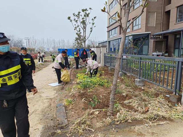 漯河市城管开展城区绿地专项整治行动
