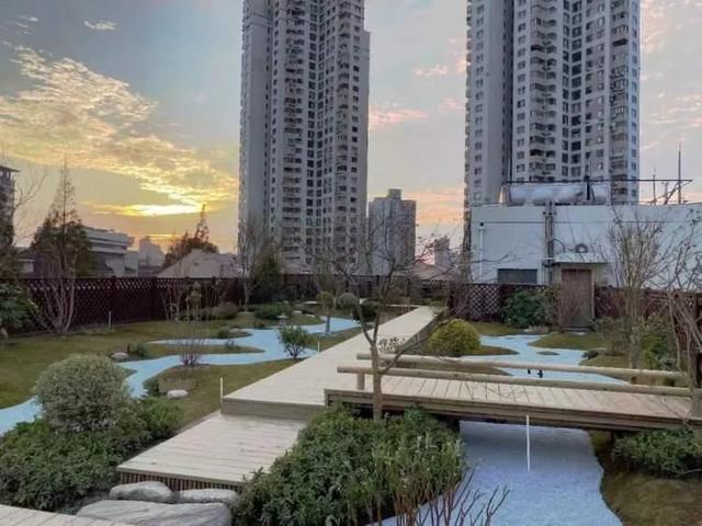 “高高在上”的美丽！打卡长宁这些“空中花园”