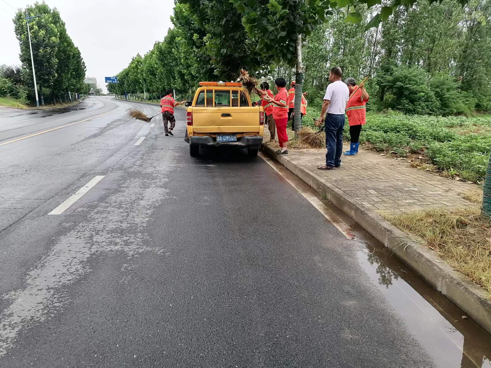 肥西山南镇：做好道路绿化养护　擦亮美丽乡村底色