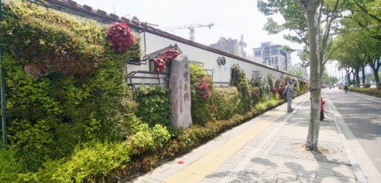 上海公园城市建设中的立体绿化，你知道哪些？