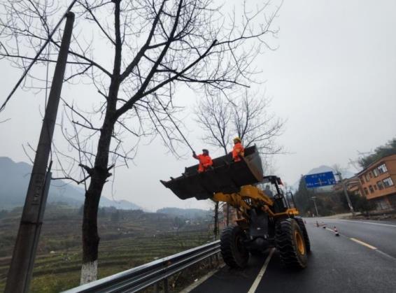 双牌公路：开展路树修剪截顶工作 提升绿化景观效果 确保车辆通行安全