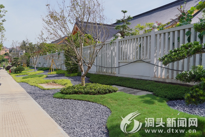 【迎亚运 提品质】增绿添彩迎亚运 提升城市环境品质