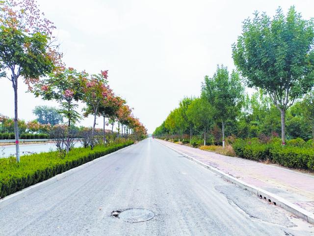 绿化带成了“生金”苗圃——牡丹区牡丹办事处创新公路绿化管护新模式侧记