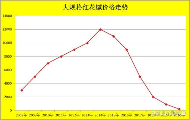 红花槭原产美国，引入我国大红大紫了10年，如今成了“烫手的山芋”