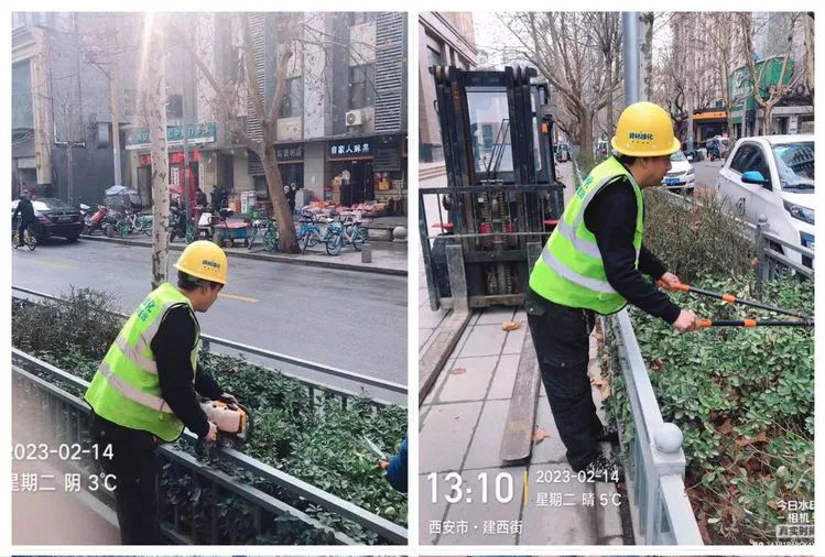 西安市城管局督导组检查碑林区2月份园林绿化精细化管理工作