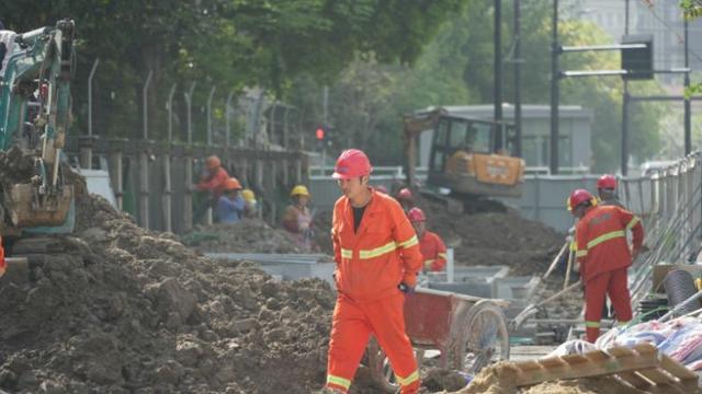 一起来探班！武宁南路沿线绿化恢复工程亮点→