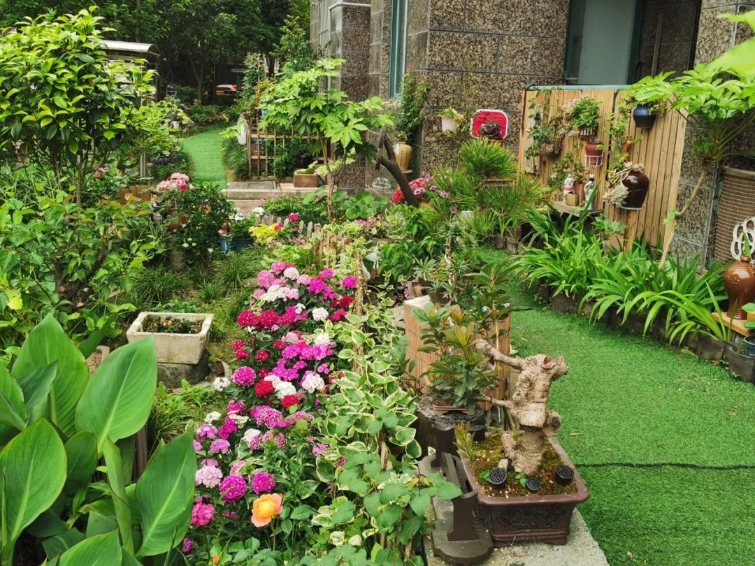 太赞了！小区绿化带变身景观小院，颜值UP↑