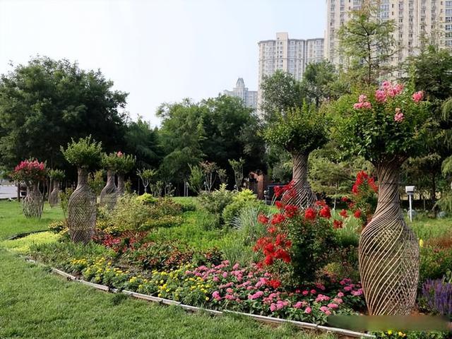转角“花”正艳 “境”上又添彩——花境建设扮靓安阳“城市颜值”