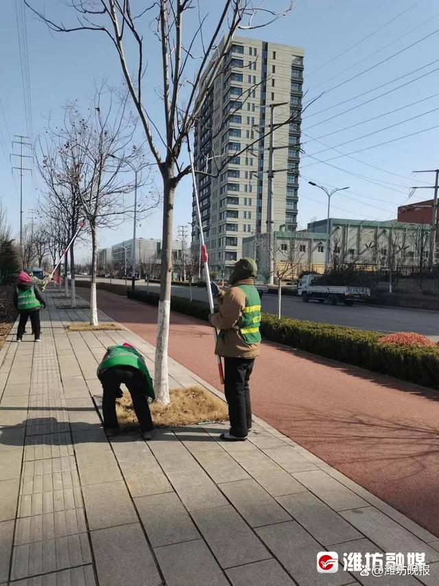 树木“理发” 静待春色！