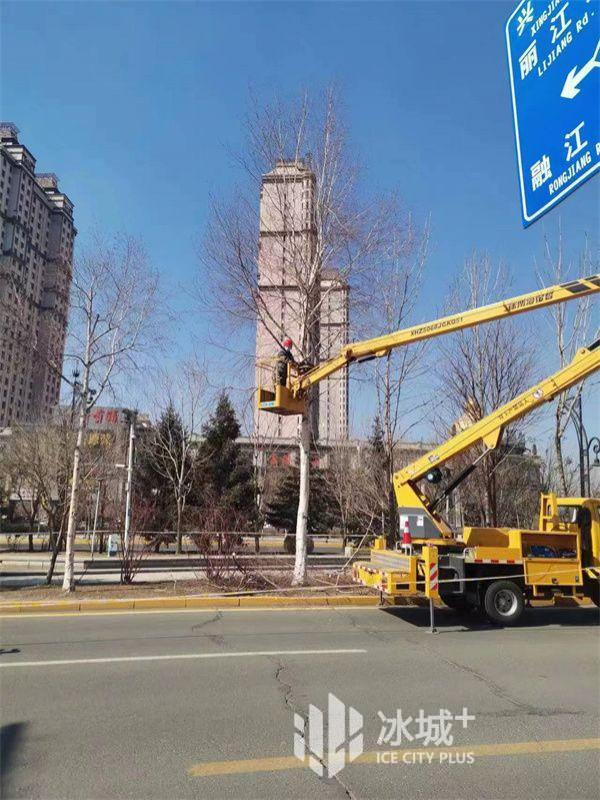哈市将打造 10 条园林绿化示范街路