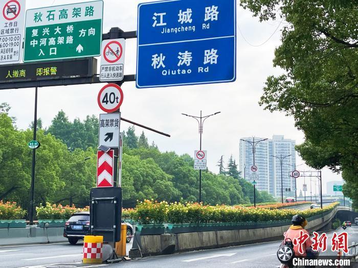 江杭州215万高架月季绽放 民众开启“走花路上班”模式