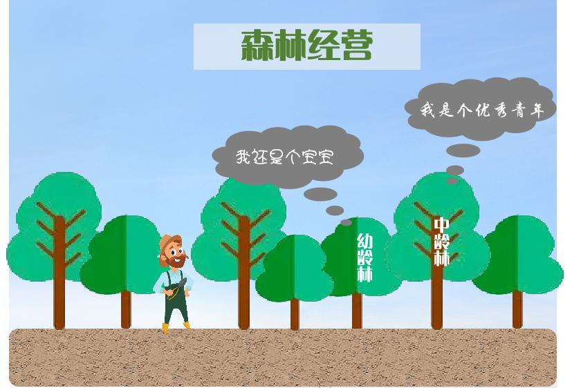 种树还能赚钱？一起来了解林业碳汇