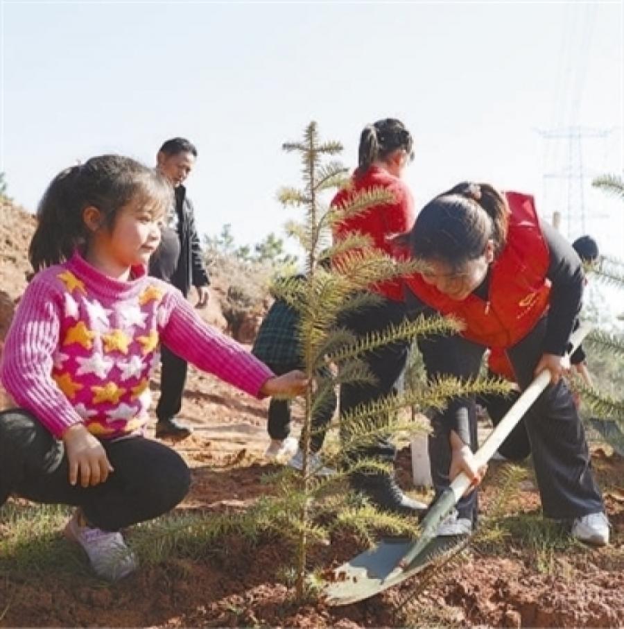 植树造林 绿化祖国（新时代画卷