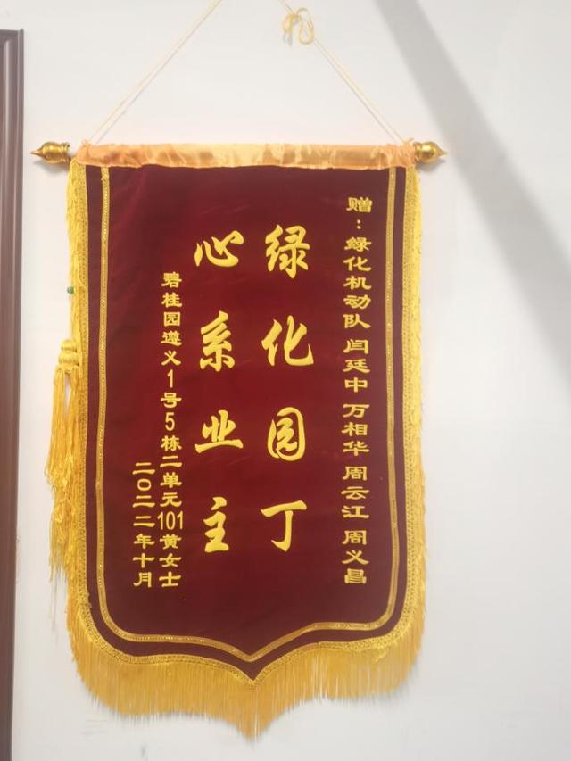 绿化提升！碧桂园多社区园林焕新颜