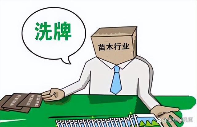 “退林还耕”3年：几家欢喜几家愁！荒山、荒坡成了抢手资源