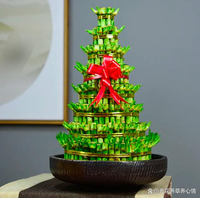 5种花，高颜值又好养，摆在家里寓意“招财纳福”，对身体也好