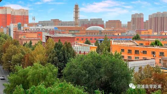 绿色生态看洛浦 科学绿化增添城市生态魅力