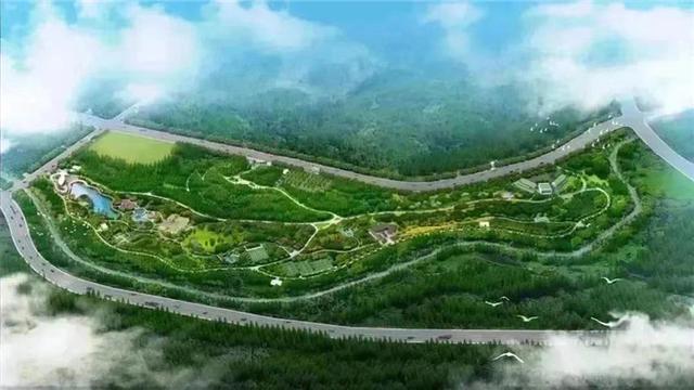 济南生态绿化项目｜美丽绿道建设、特色道路绿化、行道树品质提升篇